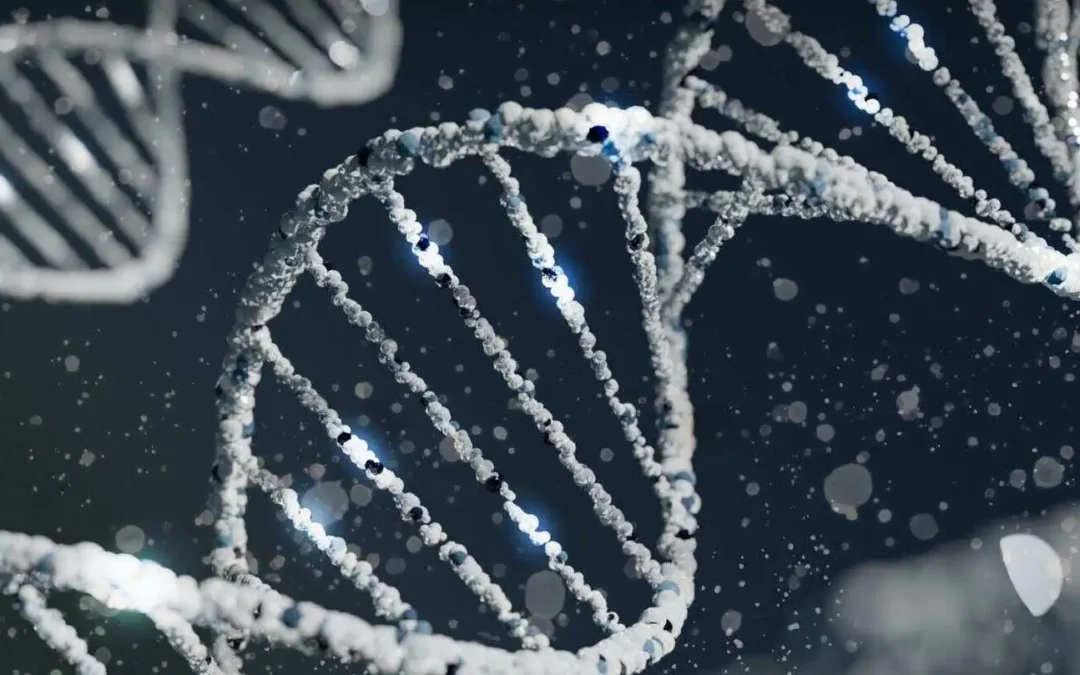 Diagnóstico del sector biotecnológico y de la alimentación