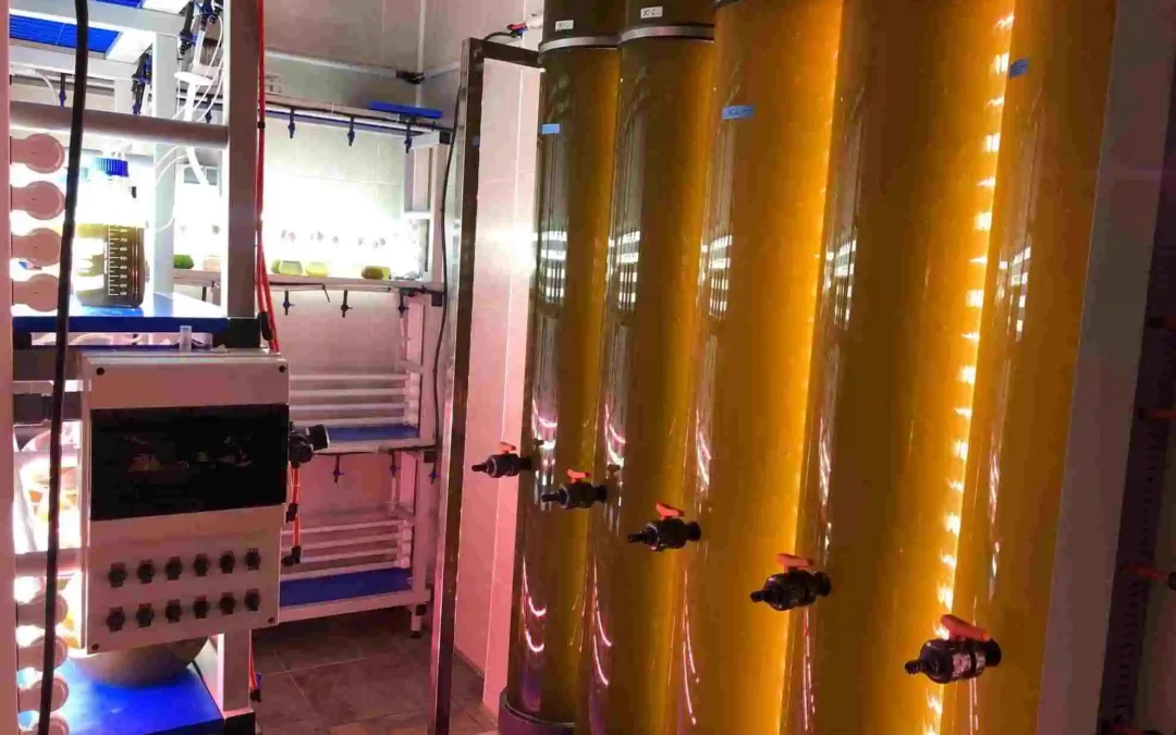 ANFACO-CYTMA lidera la transformación azul de la cadena de valor alimentaria investigando en nuevos ingredientes de origen marino